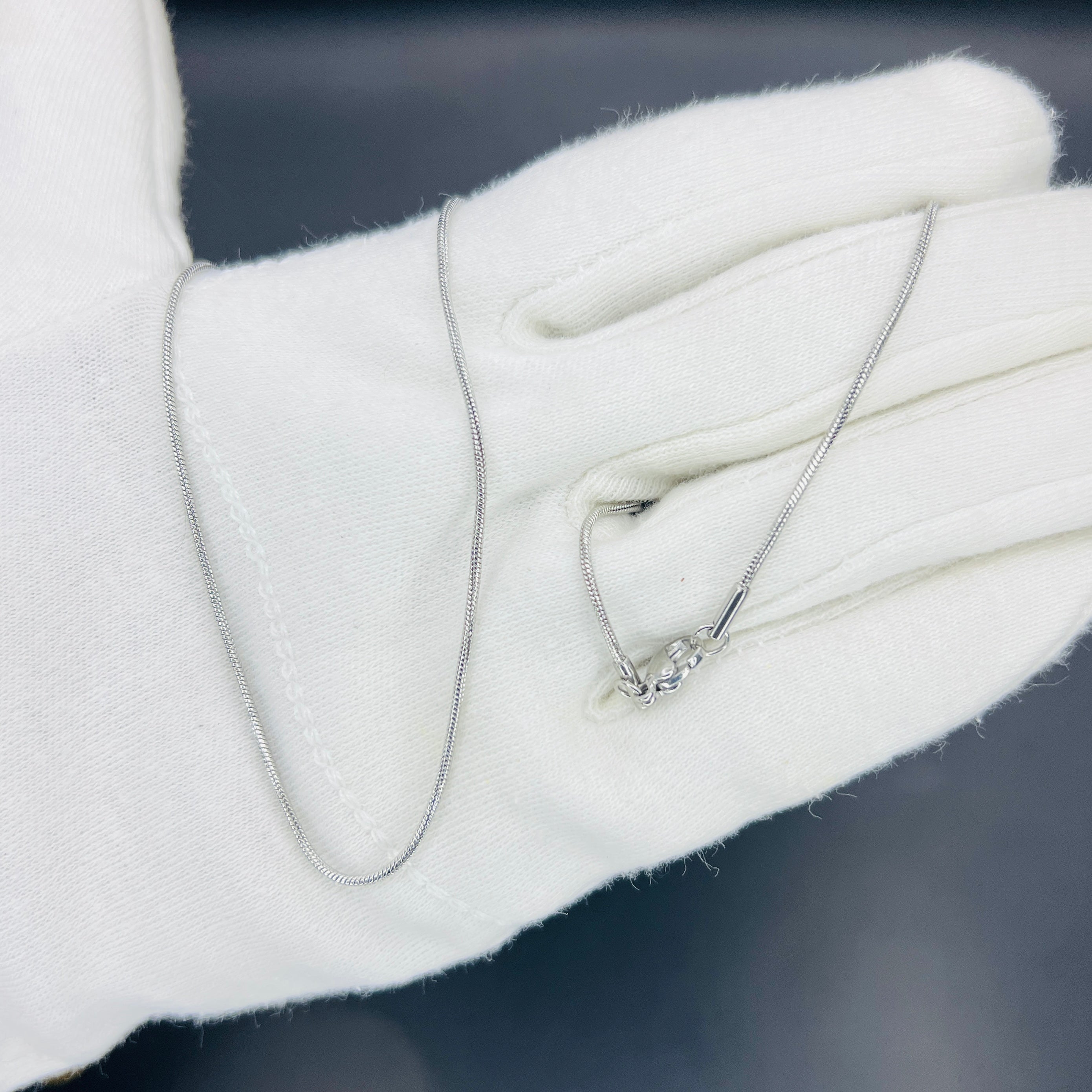 Thin Neck Snake Necklace